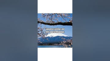 Learn Dutch with Airlearn, Download Now!    #airlearn #languagelearning #dutchlearning #learnlanguag