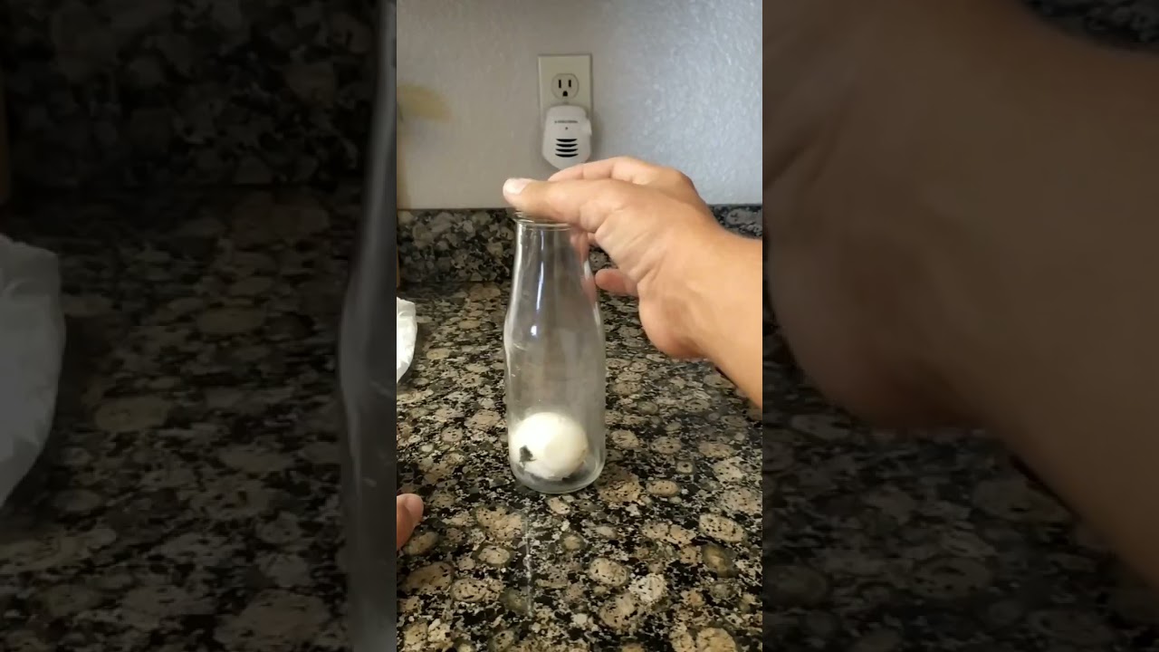 Combined Gas Law Experiment Hunter Olsen YouTube