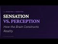 Sensation vs. Perception: How the Brain Constructs Reality | AP Psychology · Unit 4