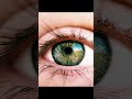 ⚡Fact about our eye's 🛑😱⚡#facts #ytshorts #interestingfacts
