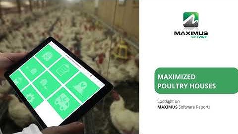 Management Poultry Software Reports Video