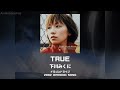 【ドラゴンドライブ OP】TRUE|下川みくに