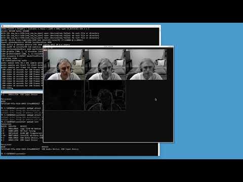 WSL on Windows 11: C++ OpenCV Video USB Webcam + JUCE Audio USB Microphone