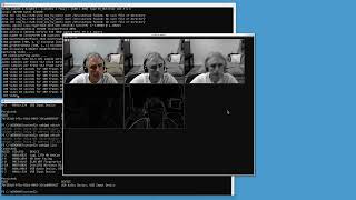 WSL on Windows 11: C++ OpenCV Video USB Webcam + JUCE Audio USB Microphone