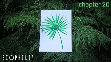 Ambient/Dub/Deep Techno: Biophilia - Chapter 20 (2025 Yearmix)