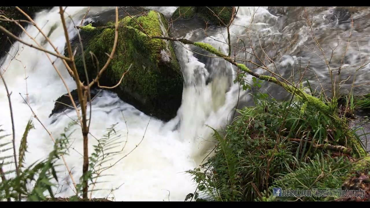 Kennall Vale - 20th February 2026