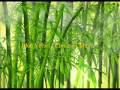 Blue Velvet - Chinese Culture