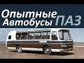 Опытные автобусы ПАЗ (АВТО СССР)
