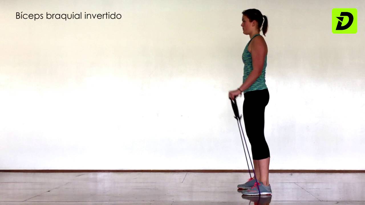 camera iphone 8 plus apk Bíceps braquial invertido