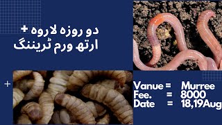 workshop on Larvae and Earth Worm production |دو روزہ لاروہ + ارتھ ورم ٹریننگ