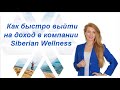 Как быстро выйти на доход Siberian Wellness