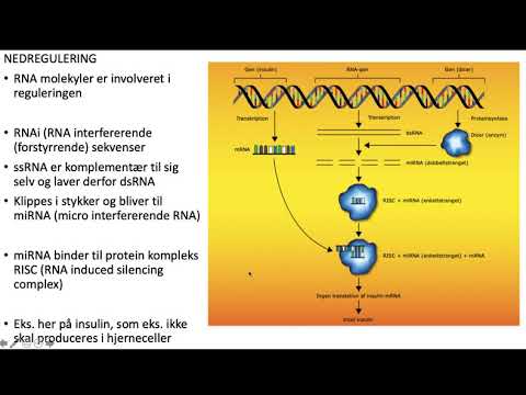 Video: Genregulerende Nettverk For Overføringsentropi (GRNTE): En Ny Tilnærming Til å Rekonstruere Genregulerende Interaksjoner Anvendt I En Casestudie For Plantepatogen Phytophthora Infe