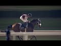 Race 6 Longines Dolce Vita
