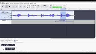 Metafonia: timbro delle voci, reverse e messaggi di MARIA