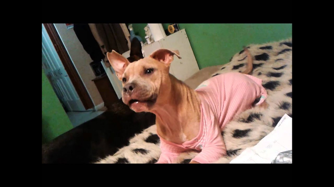 SxSw go Home! Don't Hassle Me, I'm Local.