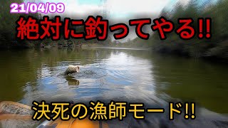 アフターメスバスの荒々しいファイト‼　春のバス釣り　フローター釣行　岡山県野池　21/04/09　絶対に釣ってやる!!決死の漁師モード!!