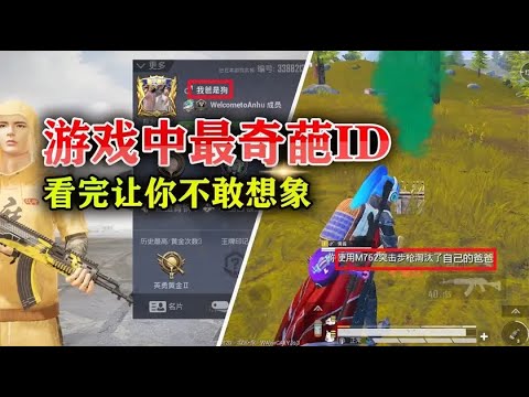 游戏中最为奇葩的ID，看完后心服口服，直接让我笑出猪声