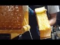 Swiss Cheese Melt (Raclette) - Cheese Is Life!