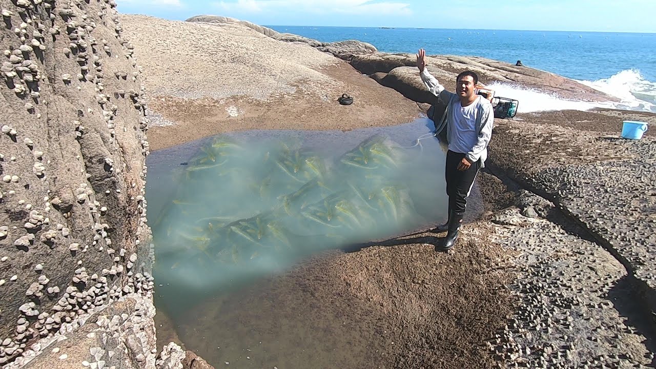 外海孤岛出现陨石坑 抽干后毒鱼群聚窝抓都抓不完 这场面没见过 Youtube 外海孤岛出现陨石坑 抽干后毒鱼群聚窝抓都抓不完 这场面没见过 Youtube