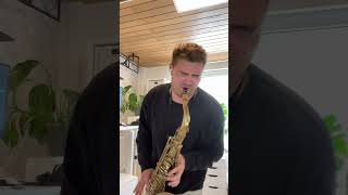 somebody that i used to know sax solo