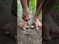 Traditional fire making, Fire rope #primitivefirelighting #bushcraft