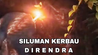 KENANGAN KI SURYO BERSAMA DIRENDRA SAHABAT GHAIB #direndra #silumankerbau #kisuryowijoyo 