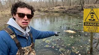 Celebrity I Caught and Cooked a Fish Nobody Ever Eats!? Net Worth
