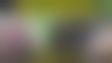 Simple DIY drip irrigation setup for any grow