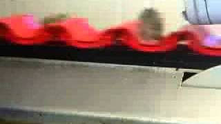 GP Graders Shell Fish Sizer