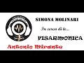 IN CERCA DI TE - Simona Molinari - accordeon fisarmonica (Antonio Mirante)