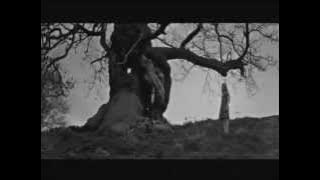 Snape/Lily - Breath of Life