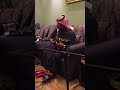 حمد التريكي قالو ترى بصوت الفنانه موضي الشمراني 