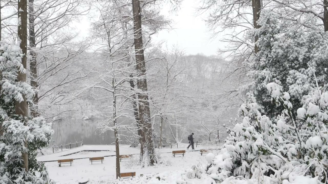 2026年02月08日08時33分