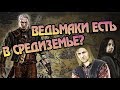 Что Объединяет Властелин Колец и Ведьмака?