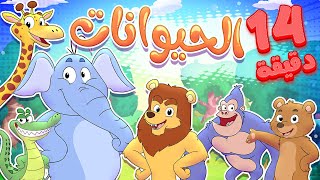 Marah Tv | قناة مرح| أغنية الحيوانات ومجموعة اغاني الأطفال