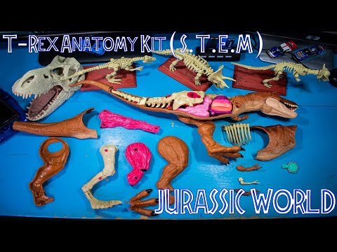 mattel jurassic world stem tyrannosaurus rex anatomy kit