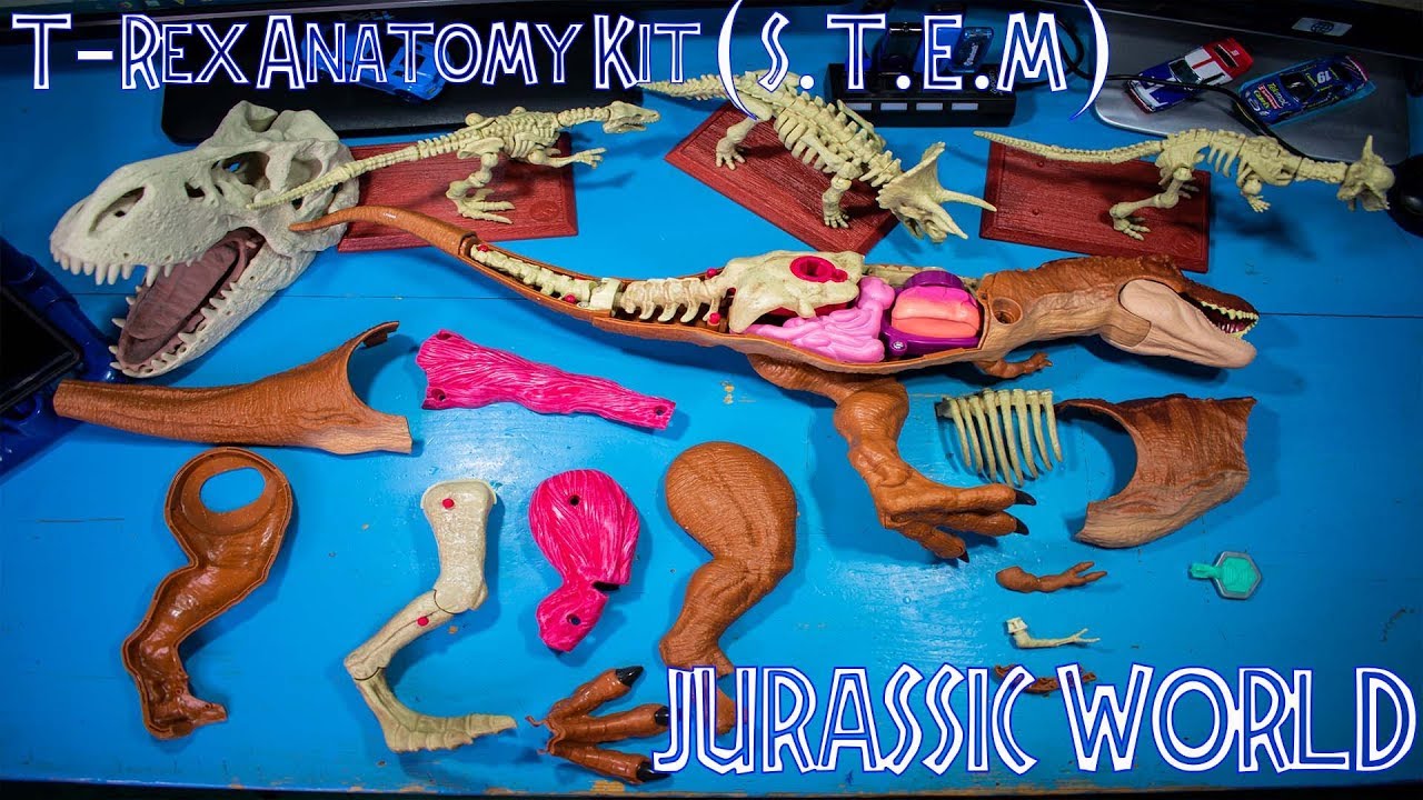 mattel jurassic world stem tyrannosaurus rex anatomy kit