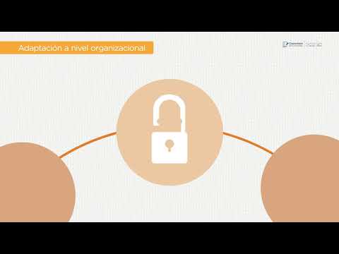 Curso de Supervisor de operaciones 31