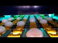 MOBA OMNIA XF2 Egg Grading & Packing Machine / MOBA OMNIA XF2 Yumurta Tasnif & Paketleme Makinesi