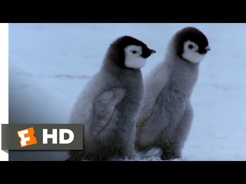 March of the Penguins (4/4) Movie CLIP - First Steps (2005) HD