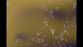 HexCell: Soft Artificial-life Genetically Evolving Cellular Automata screenshot 4