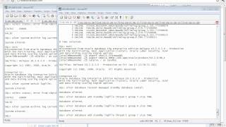 04.02-14_Oracle_10gR2_RACDG_4.2 Step14 Add Standby Redo Logs for the Standby(20120113).flv