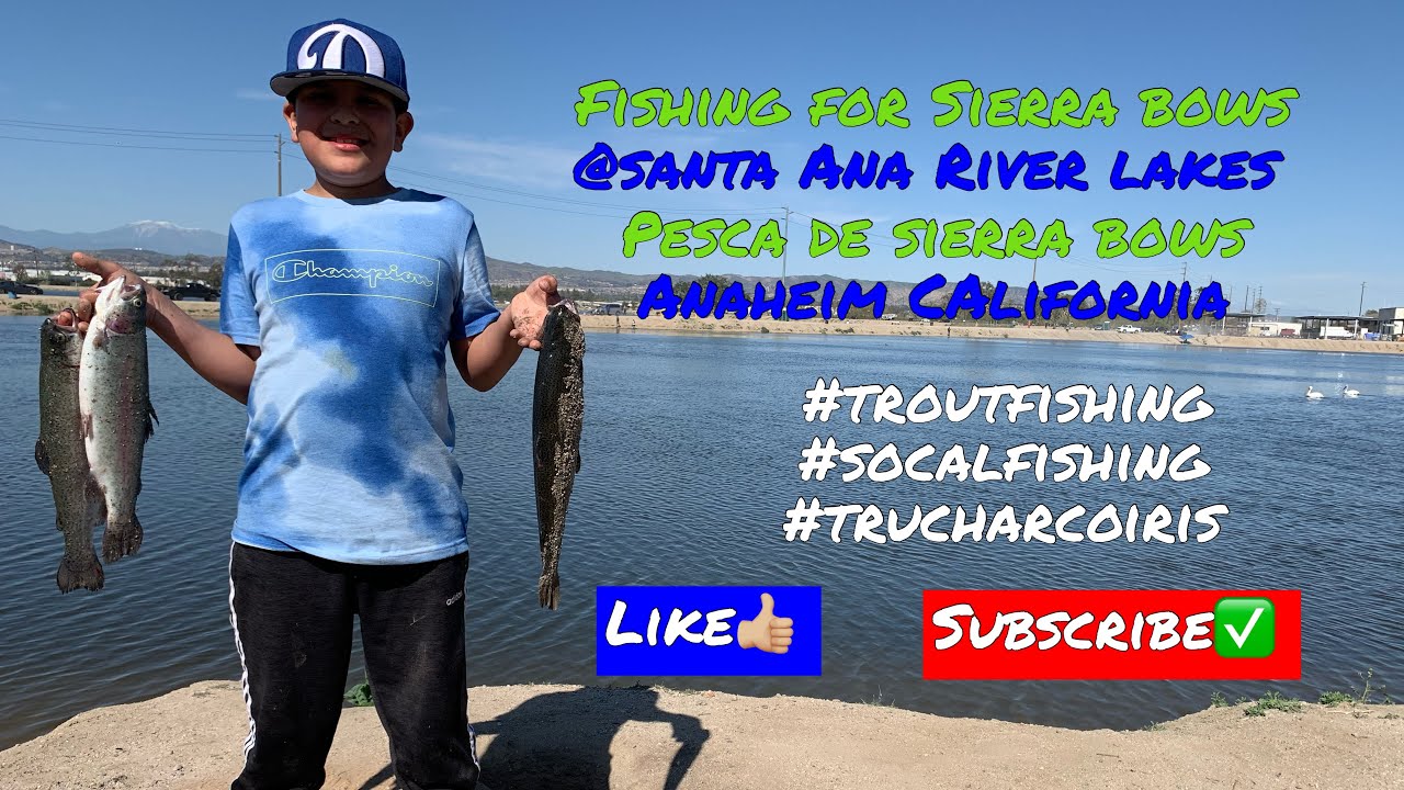 Fishing for Sierra Bows @ Santa Ana River Lakes- Pesca de Sierra Bows 