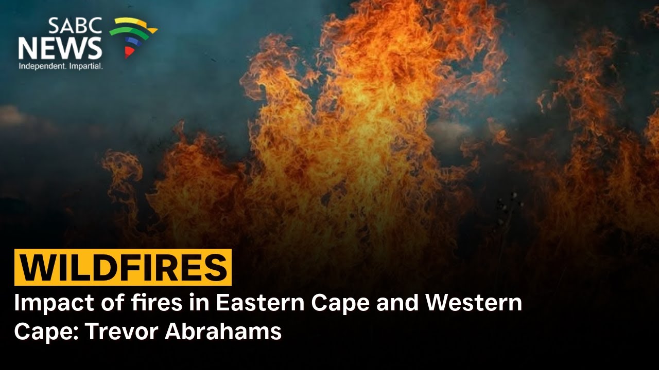 Wildfires | Impact of fires in Eastern Cape and Western Cape: Trevor Abrahams