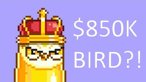 Moonbirds NFT: Everything you need to know (Proof, Moonbird Oddities, ...)