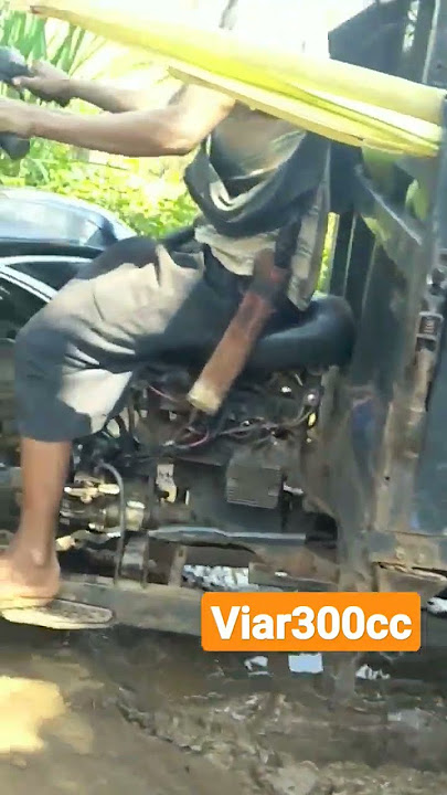 viar 300cc muatan  kelapa muda