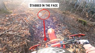 Stabbed by a Tree Branch in the New England Backcountry