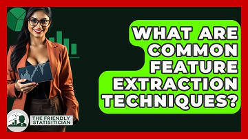 What Are Common Feature Extraction Techniques? - The Friendly Statistician