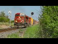 OLD LEADER! CP 8629 at Caledon, ON (MAY 18, 2026)