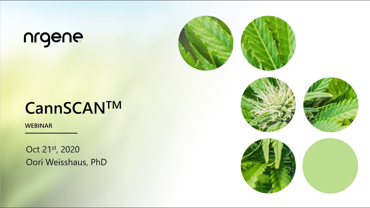 CannSCAN™   Identifying the Barcode of your Cannabis and Hemp Strain
